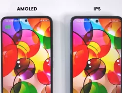 Ketahui Perbedaan Layar AMOLED vs IPS Sebelum Terlanjur Beli!