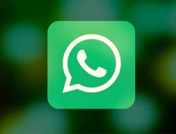 WhatsApp Mengembangkan Fitur Baru: Penggunaan Username untuk Identifikasi