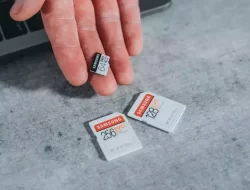 Ponsel Melambat? Simak Dampak Penggunaan Kartu Micro SD yang Jarang Diketahui