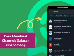 Cara Membuat Channel di WhatsApp untuk Berbagi Informasi
