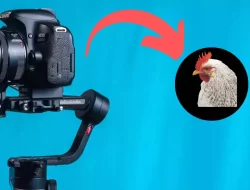 Rahasia Stabilitas Kamera: Terinspirasi dari Kepala Ayam