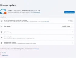 Heboh! Windows 11 23H2 Dikabarkan Sudah Akhir Dukungan, Ternyata Cuma Bug!